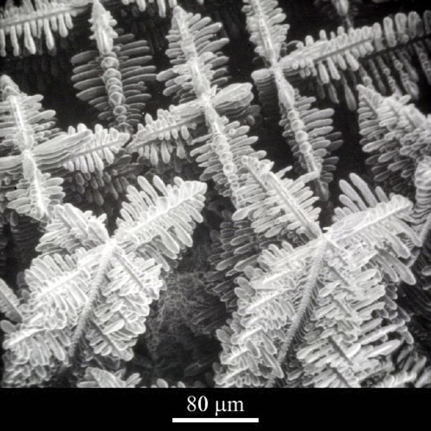 crystal formation magnification image